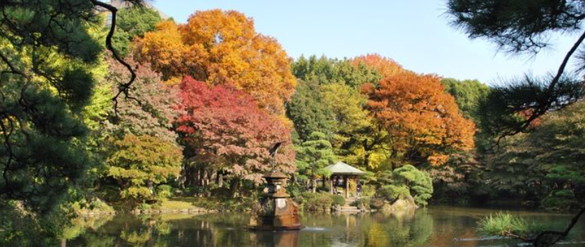 Japan’s 72 Microseasons - Pause the World for Peace